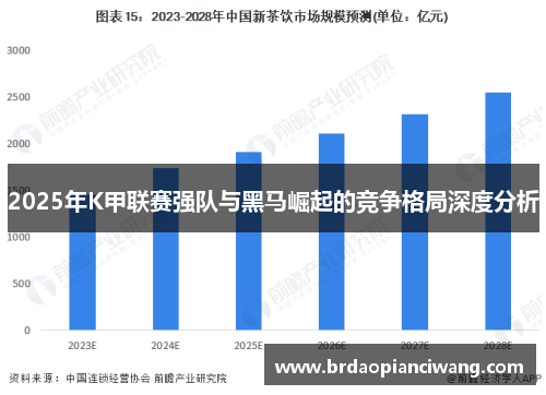 2025年K甲联赛强队与黑马崛起的竞争格局深度分析