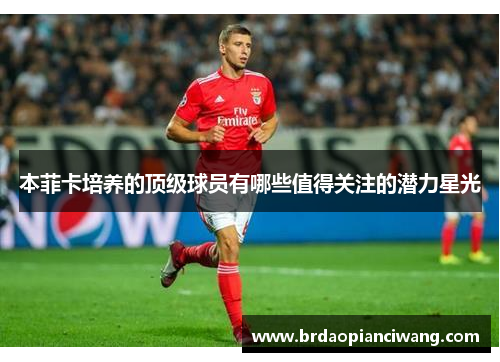 本菲卡培养的顶级球员有哪些值得关注的潜力星光