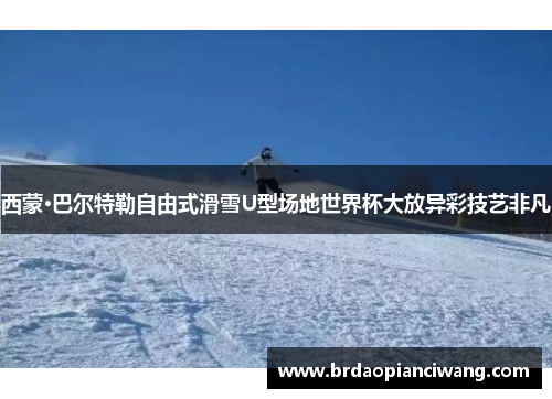 西蒙·巴尔特勒自由式滑雪U型场地世界杯大放异彩技艺非凡