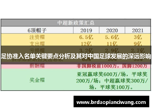 足协准入名单关键要点分析及其对中国足球发展的深远影响
