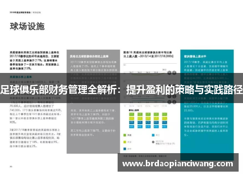 足球俱乐部财务管理全解析:提升盈利的策略与实践路径 足球俱乐部财务管理全解析:提升盈利的策略与实践路径