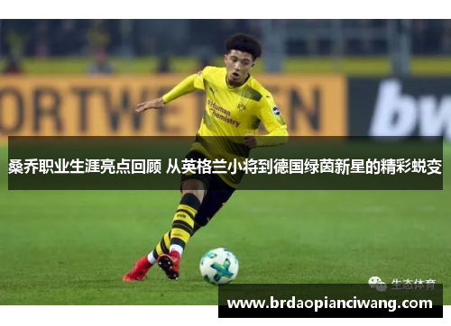 桑乔职业生涯亮点回顾 从英格兰小将到德国绿茵新星的精彩蜕变